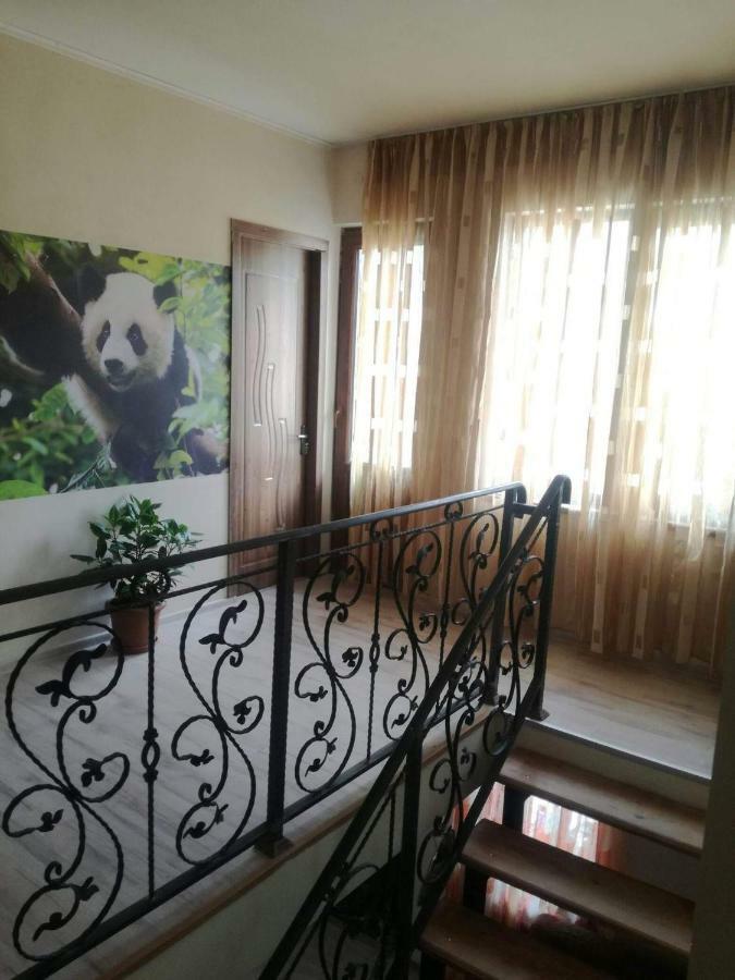 Happy Pandasn12 Hotel Bordzjomi Buitenkant foto