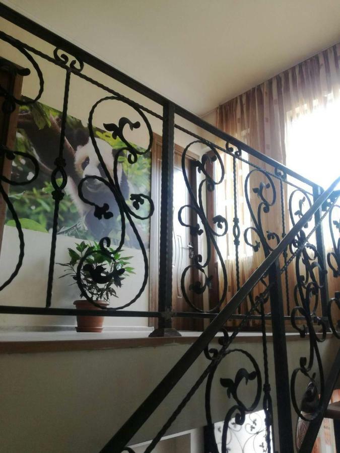 Happy Pandasn12 Hotel Bordzjomi Buitenkant foto